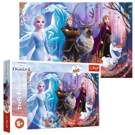 Puzzles 100 Magic of Frozen