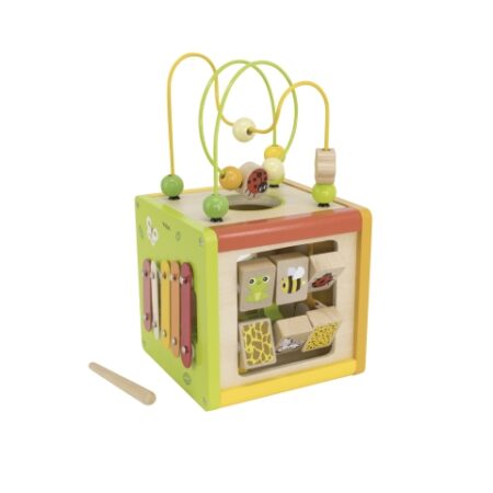 5-in-1 Activity Cube