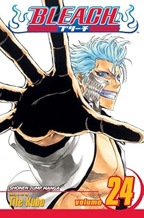 bleach 24