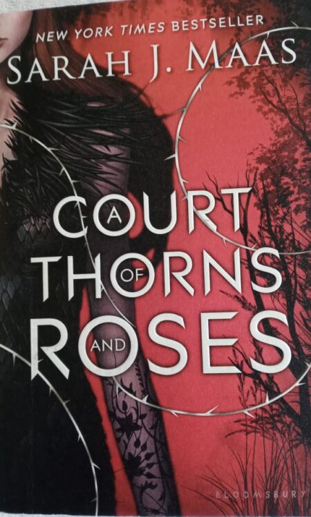 A court of throne and roses